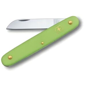 Knife 100mm Floral Green Victorinox CDG