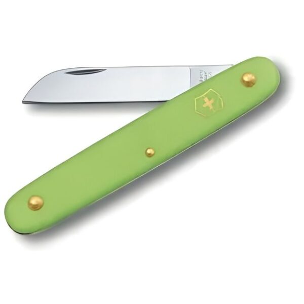 Knife 100mm Floral Green Victorinox CDG